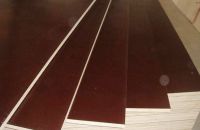 Quy Trình Sản Xuất Ván ép Phủ Phim