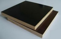 Chất Lượng Ván Ép Coppha Phủ Phim Phụ Thuộc Vào Yếu Tố Nào?