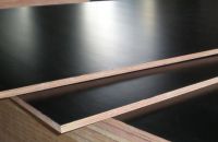 Đặc Điểm Của Ván Ép Coppha Phủ Phim Sử Dụng Trong Xây Dựng