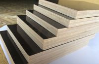 Làm Sao Để Bảo Quản Ván Ép Coppha Phủ Phim Bền Vững Nhất