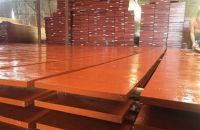 Ván ép coppha đỏ có thể sử dụng bao nhiêu lần?