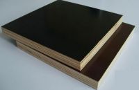 Phân Biệt Chất Lượng Các Loại Ván Ép Coppha Phủ Phim