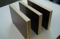 Ván ép coppha - Ván ép chịu nước tốt nhất hiện nay