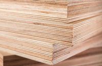 7 Thông Tin Quan Trọng Về Gỗ Ép Có Thể Bạn Chưa Biết