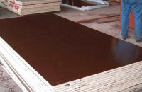 Vì Sao Nên Dùng Ván Coppha Phủ Phim