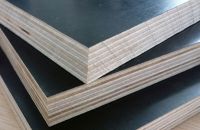 Kích thước và ứng dụng của ván ép coppha