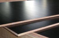 Ván Ép Coppha Việt Mỹ Anh | Ván Ép Coppha Phủ Phim | Ván Ép Coppha Chất Lượng Cao