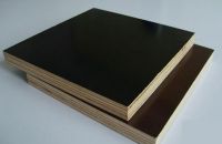 Phương pháp kiểm tra chất lượng ván ép coppha phủ phim