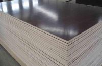 Chất Lượng Ván Ép Coppha Phủ Phim