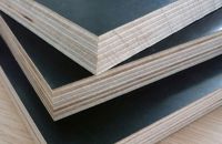 Thông Số Kỹ Thuật Ván Ép Phủ Phim