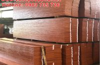 Lý do ván ép coppha dược nhiều người yêu thích